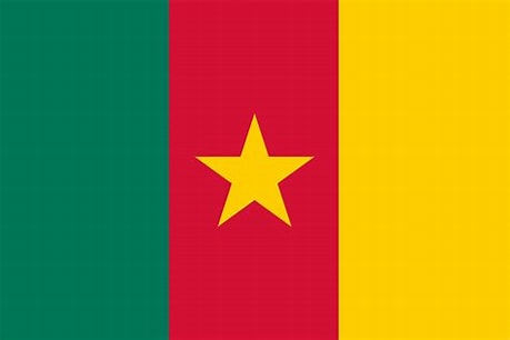 cameroon flag